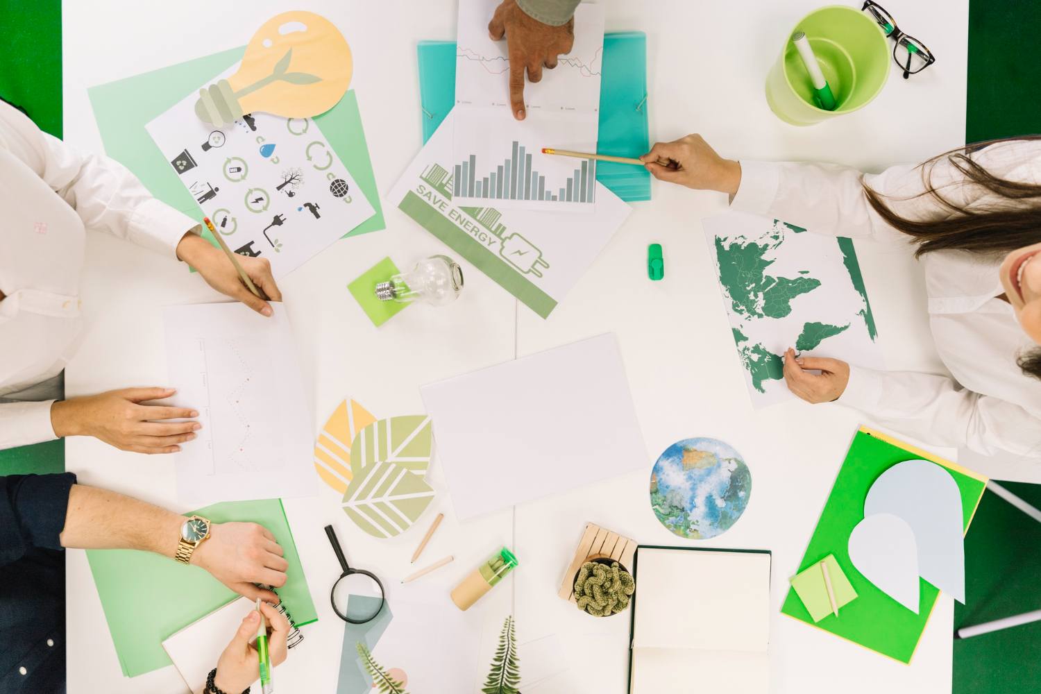 Estrategias y soluciones comerciales ecológicas de  Turidentyrd 